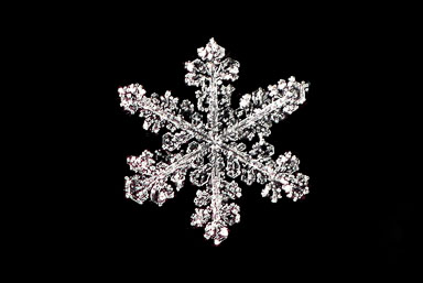 Through the Looking Glass
 Hero